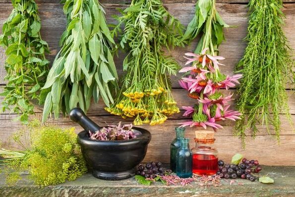 herbes pour l'hypertension